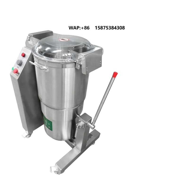 Grande Frullatore Industriale  - Vegetable Chopper recensione e prezzo