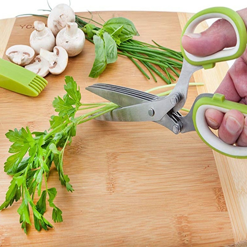 Forbici per erbe con 5 lame Ga - Herb Scissors 5 Blade recensione e prezzo