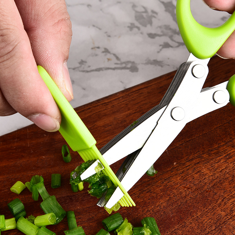 Forbici da Cucina in Acciaio I - Herb Scissors 5 Blade recensione e prezzo