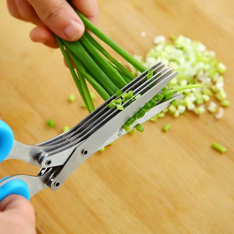 Forbici per scalogno con lama  - Herb Scissors 5 Blade recensione e prezzo