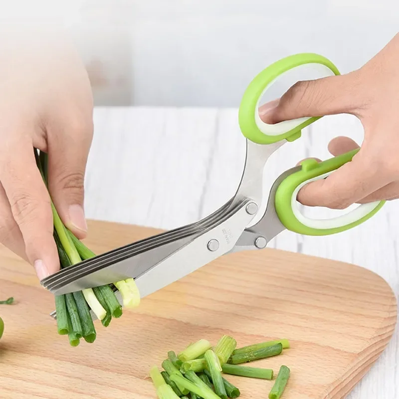 Forbici per Erbe in Acciaio In - Herb Scissors 5 Blade recensione e prezzo